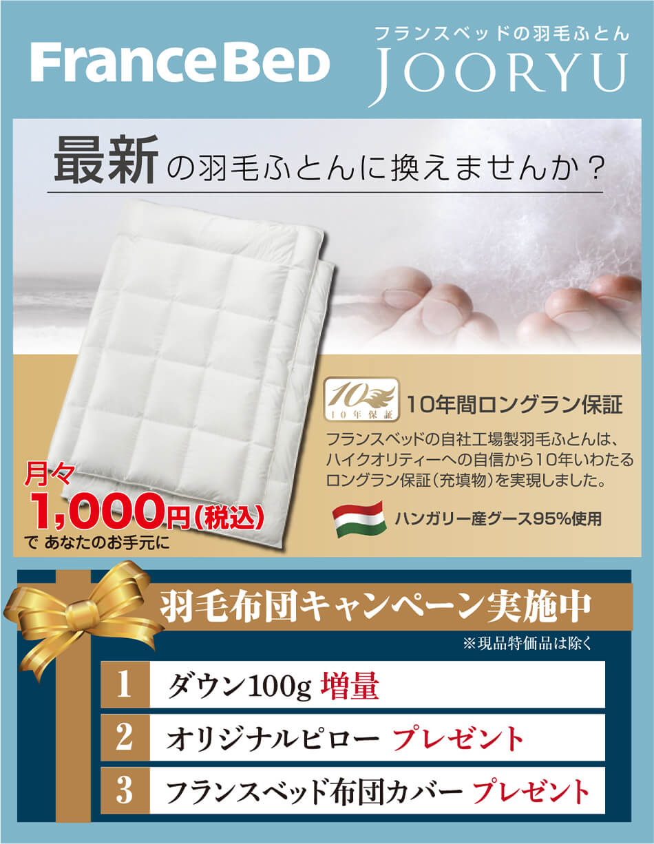フランスベッドの羽毛ふとん