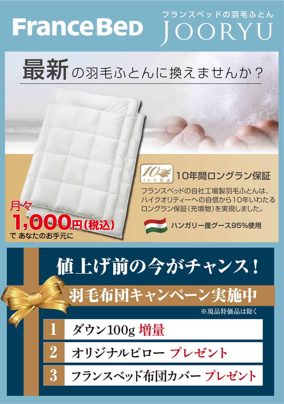 フランスベッドの羽毛ふとん