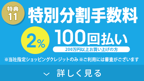 特別低金利 100回払いでも2%