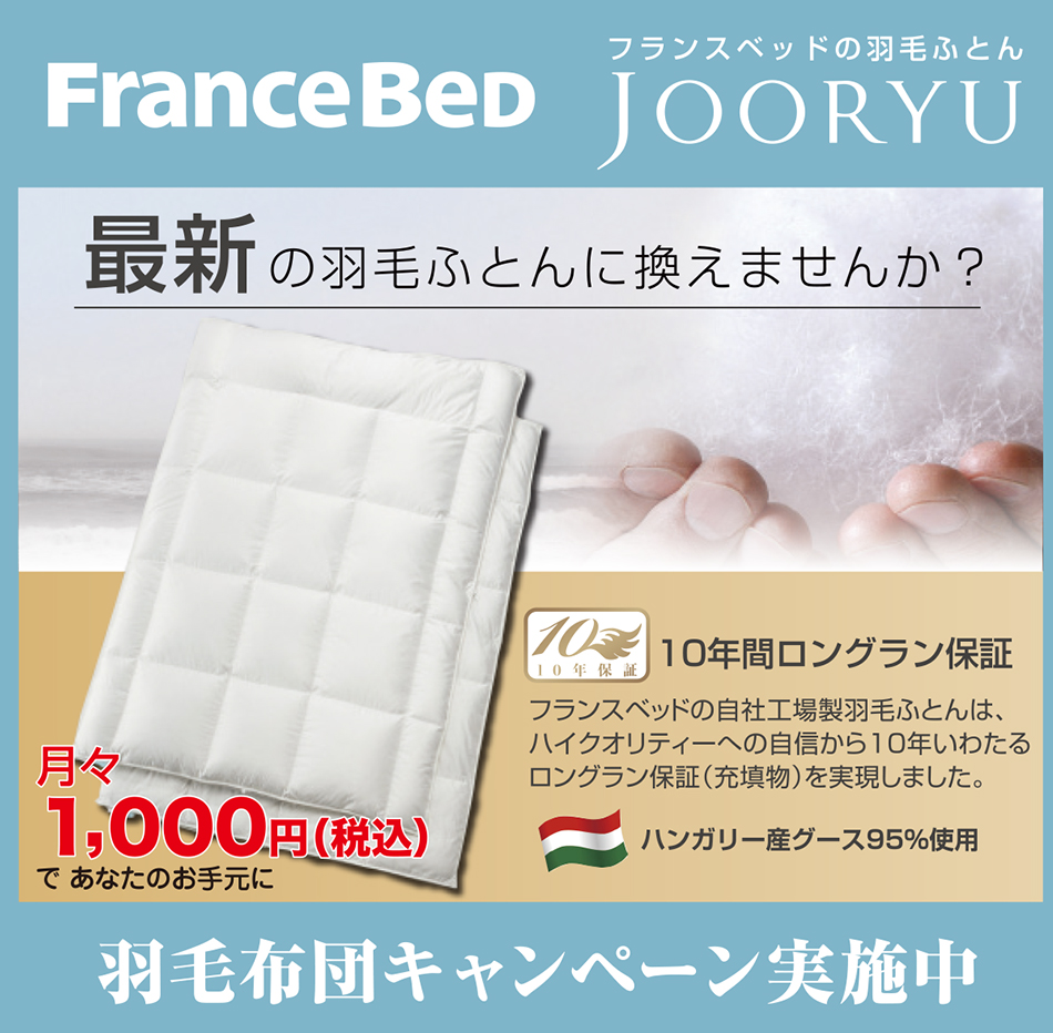 フランスベッドの羽毛ふとん