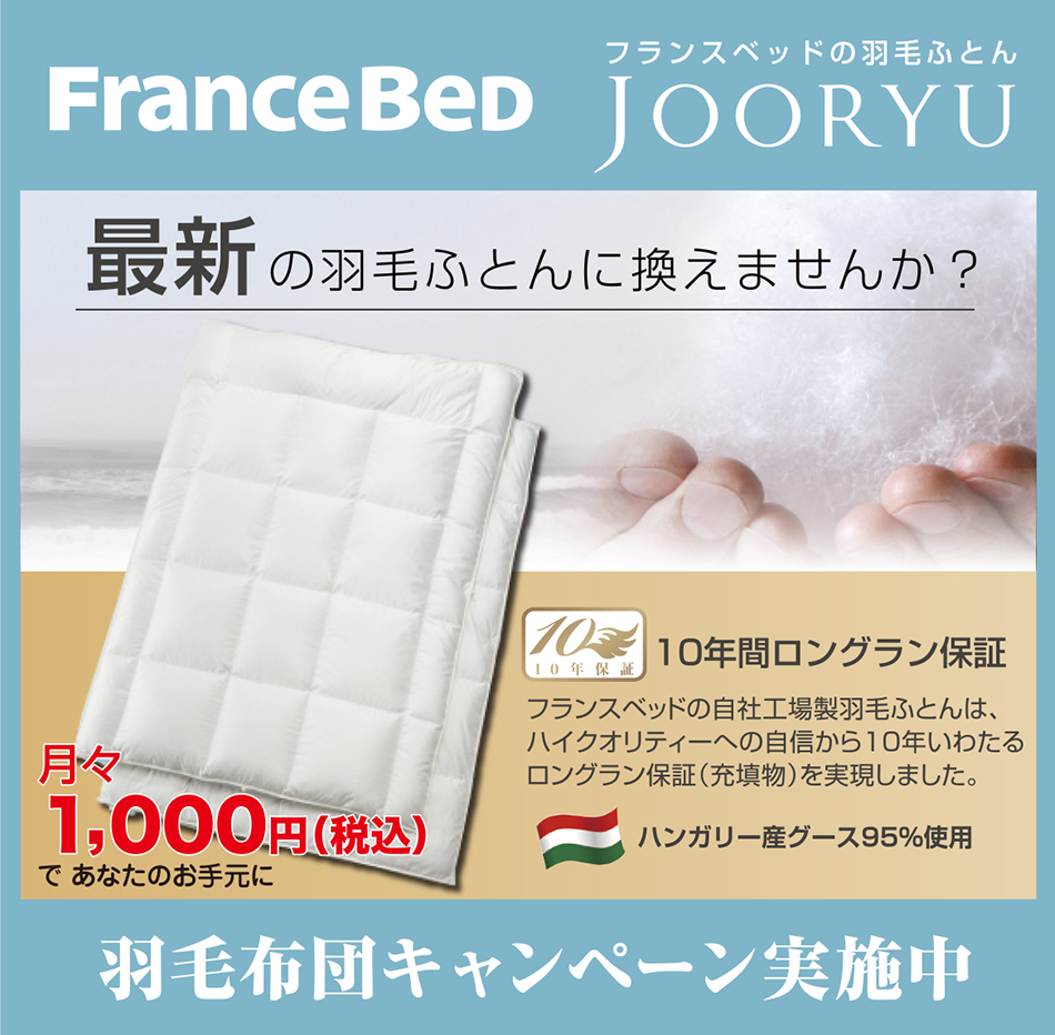 フランスベッドの羽毛ふとん