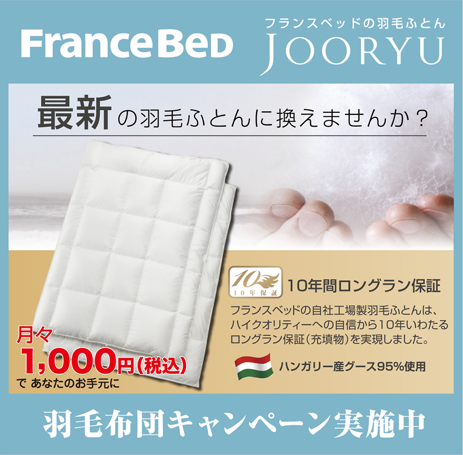 フランスベッドの羽毛ふとん