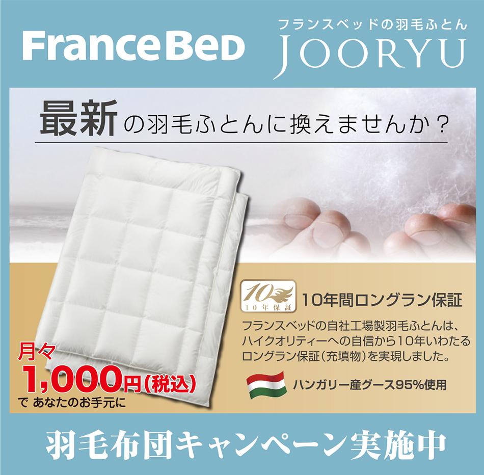 フランスベッドの羽毛ふとん